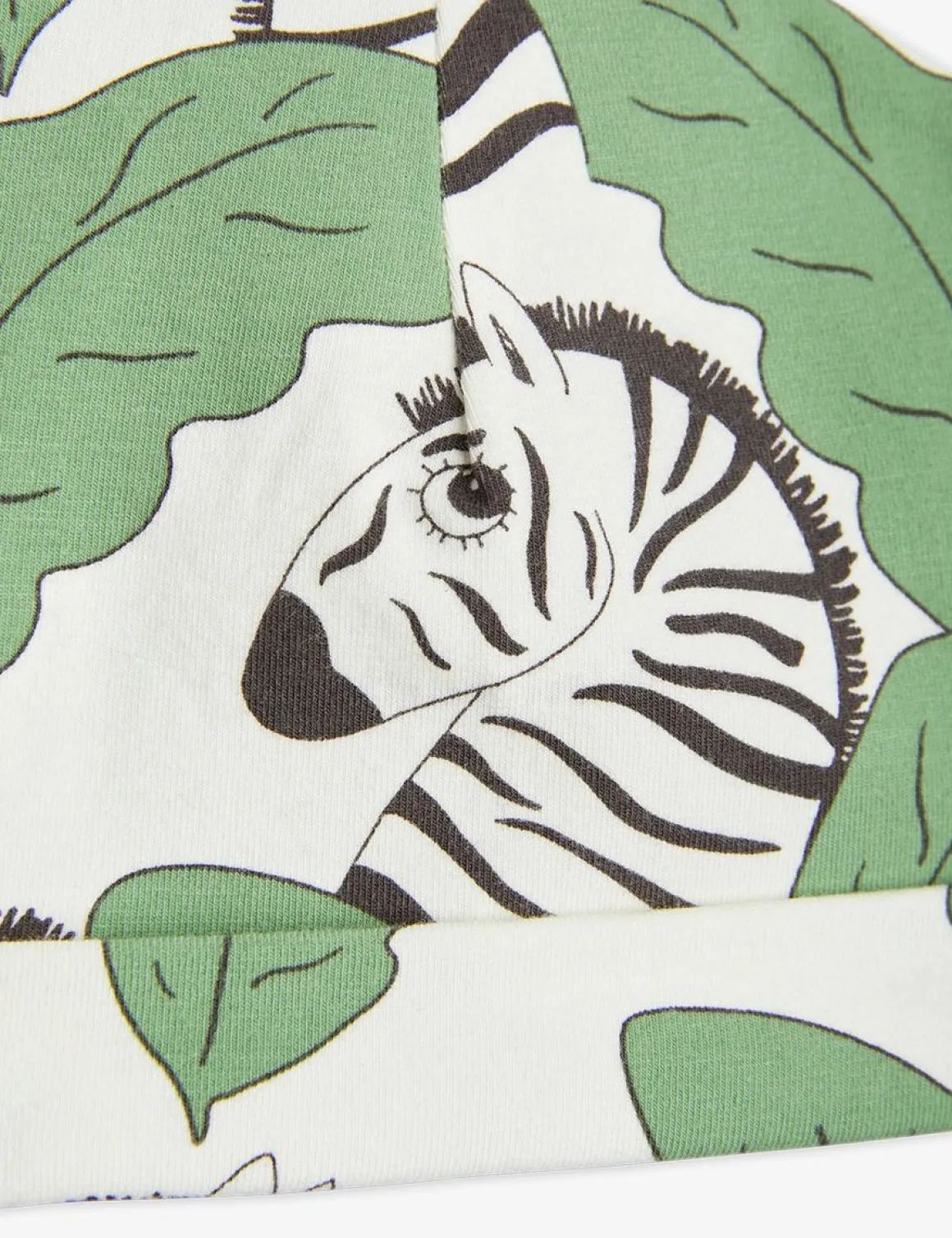 Zebra Baby Beanie Green